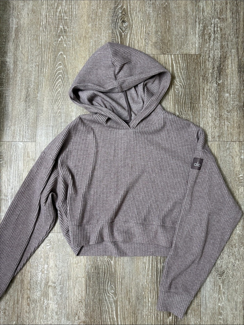 ALO Muse Hoodie